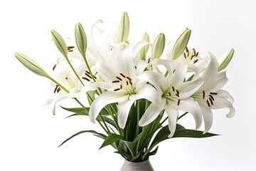 Obraz premium Portrait vase lily flower isolated on white