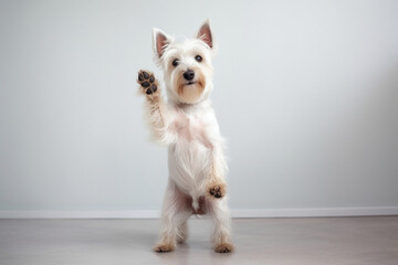 generative AI.
a cute dog is standing and waving