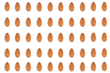 Almonds seed isolated on transparent background