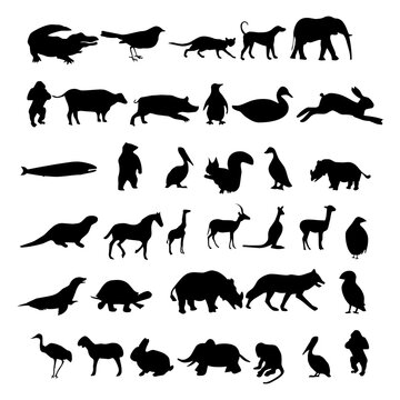Collection of animal silhouettes. Farm animals silhouettes collection. Wild animals set. Set of silhouettes of different animals.