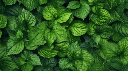 Close-up green leaves. Generative AI