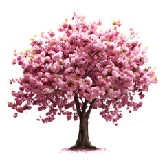 Fototapeta premium Pink cherry tree blossom isolated on transparent background. Tree and Plant isolated PNG element. Generative AI.