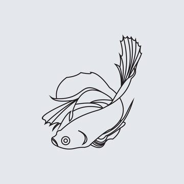 recommend clip art: continuous line drawing Siamese fighting fish