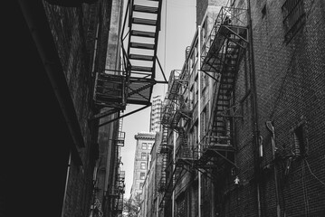 black and white