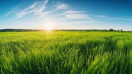 Obraz na płótnie Canvas Beautiful grassland at summer Generative AI