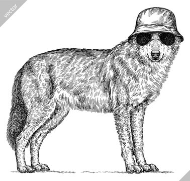 Vintage engraving isolated gray wolf set glasses dressed fashion illustration ink costume sketch. Wild dog background animal silhouette sunglasses hipster hat art. Hand drawn vector image.
