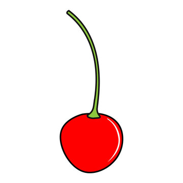 cherry fruit vector illustration