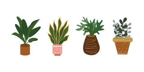 apartment, botanical, botany, cactus, cartoon, clipart, collection, colorful, decor, decoration, decorative, design, element, environment, face, flat, flora, floral, floristic, flower, flowerpot, flow