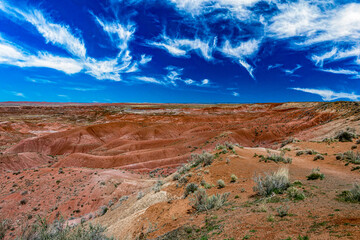 Painted Desert in Petrified Forest National Park