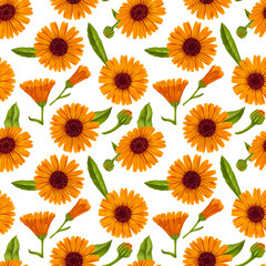 seamless pattern with drawing realistic orange calendula flowers and buds at at white background, hand drawn illustration,floral ornament