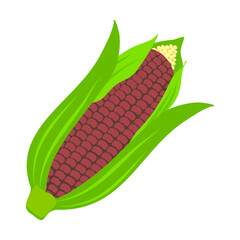 Appetizing sweet corn