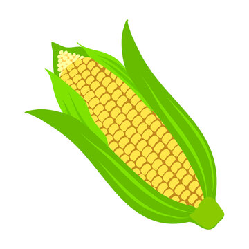 Appetizing sweet corn