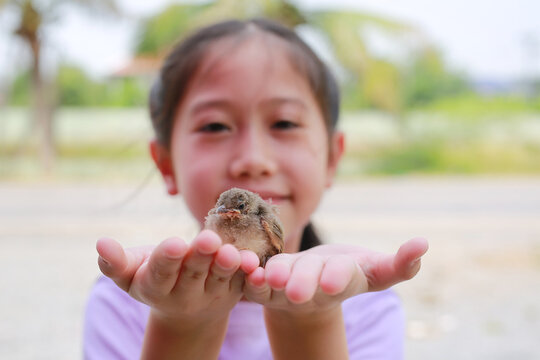 Little sparrow lying on child hands, taking care of birds, friendship. Concept of nature of life. Focus at small bird.