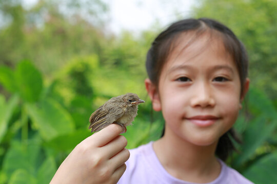 Little sparrow sitting on kid hand, taking care of birds, friendship. Concept of nature of life. Focus at small bird.