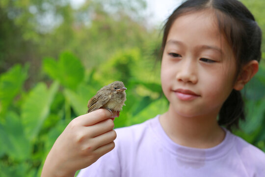 Little sparrow lying on child hands, taking care of birds, friendship. Concept of nature of life. Focus at small bird.