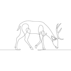 Deer line art icon. A pair of deer continuous line drawing. Deer one line draw graphic vector. Vector illustration