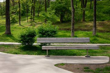 Bench in the summer park.