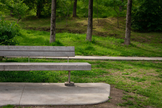Bench in the summer park.
