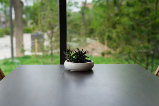 Pot With Succulents On An Empty Table Near The Panoramic Window In A Cafe.