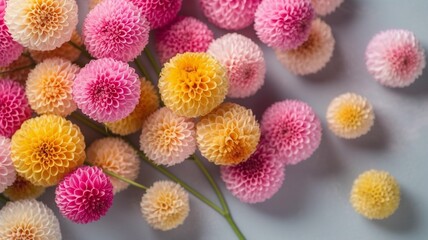 Beautiful colorful dahlia flowers Generative AI