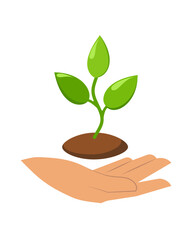 A plant sprout in a man's hand. Protecting Nature.  Flat.