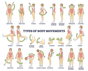 Body movement types with medical physical motion explanation outline diagram. Labeled educational anatomy scheme with healthy leg, arm or shoulders rotation, extension or inversion vector illustration - obrazy, fototapety, plakaty