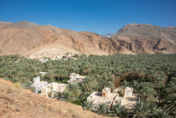 An oasis of date palms, Birkat al Mouz, Oman - obrazy, fototapety, plakaty
