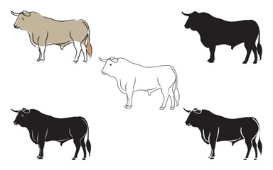 vector collection of bull, silhouettes and shadows. Grunge bull and matador, vector 