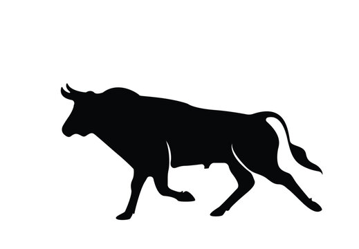 Quality black and white vector silhouette of a bull running and ready to charge and fight.