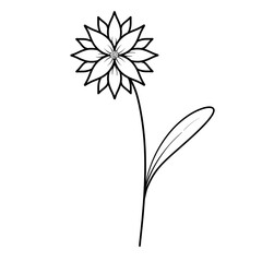 Cute Flower doodles.