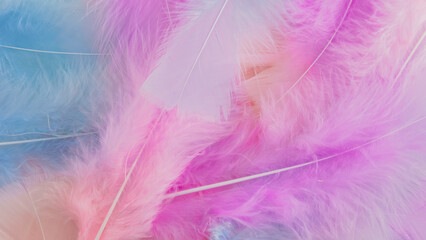 pink feather wool pattern texture background