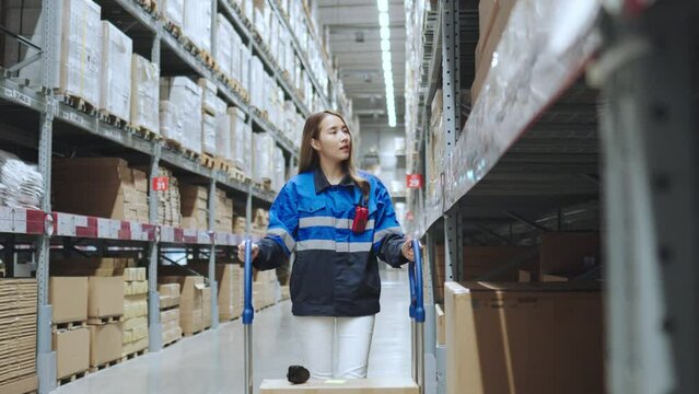 Asian female supervisors controlling stock in a warehouse. Distribution storage area about logistics and organization.