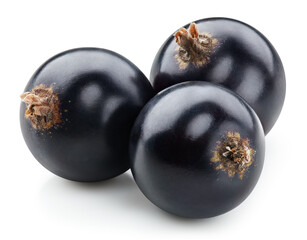 Black currant isolated