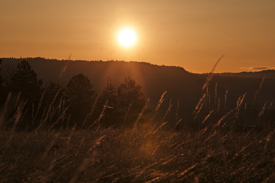 sinrise over the field