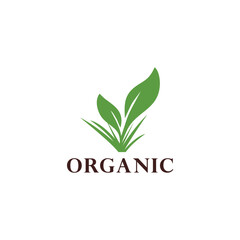 green plant organic vector logo design