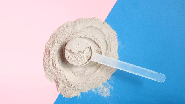 Scattered protein and scoop on pink and blue background, concert of sports nutrition.
