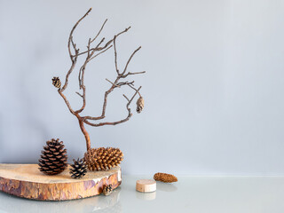 A cut of a tree or a podium and a beautiful dry pine branch. Product display on a gray background. Mockup for product branding, presentation. Background for products, cosmetics, jewelry.