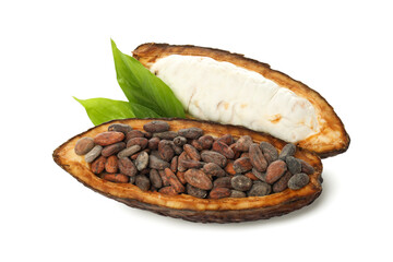 PNG, ingredient for making chocolate - cocoa, isolated on white background