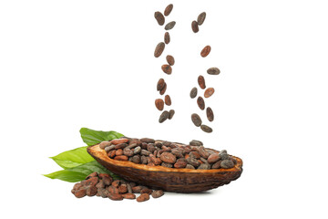 PNG, ingredient for making chocolate - cocoa, isolated on white background