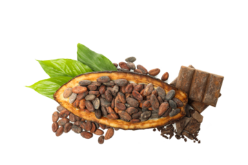 PNG, ingredient for making chocolate - cocoa, isolated on white background