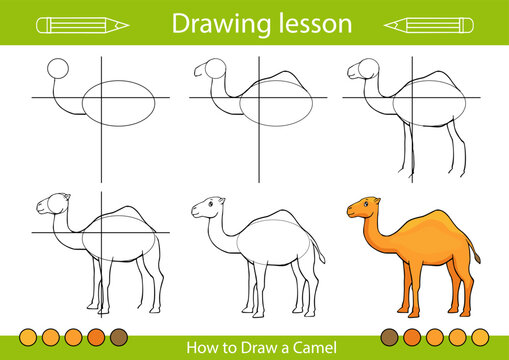 Drawing tutorial. Art lesson how to draw animals. Kids activity page. Children education step by step worksheet. Vector illustration of camel.