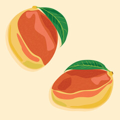 Two ripe mangoes of different shapes with leaves. Juicy tropical fruits.