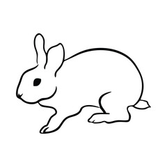 Rabbit. Vector illustration on a white background. isolated. Illustration of a rabbit in line style, perfect for designing animal coloring books for children