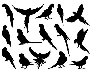 Set of Parrots, Silhouette, Flying Birds, Feather, Bird Silhouette