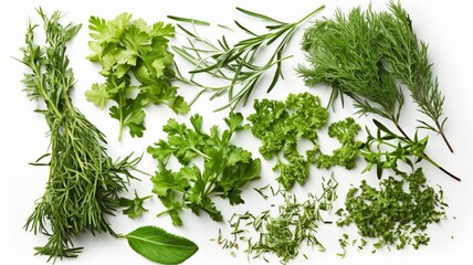 Collection of fresh herb leaves. arugula and basil Generative AI