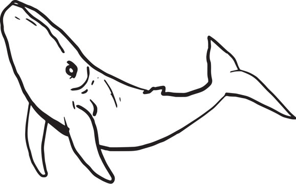 black and white line drawing cartoon whale in the sea