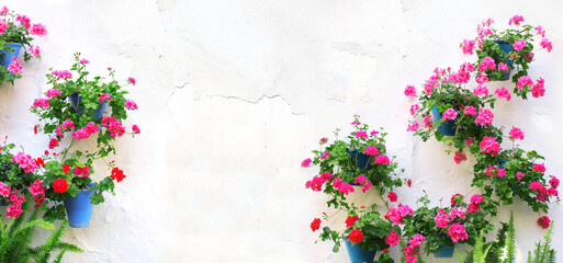 Horizontal banner with flowerpots with blossom geranium on stucco wall. Pot of pink and red geranium in blossom on white concrete wall. Traditional mediterranean wall decoration of a village house - obrazy, fototapety, plakaty