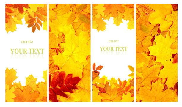 Set of vertical nature banners with autumn scenes. Collection of fall backdrops with yellow and red autumn leaves