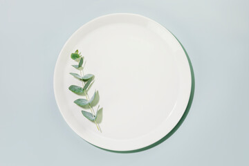 Empty white plate with eucalyptus sprig on light blue background. Spring healthy diet menu concept. Trendy nordic minimal style. Mock up, top view, copy space