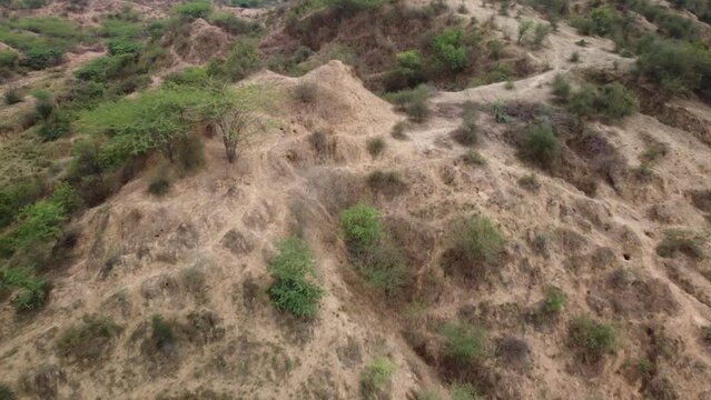 Unique gully erosions of the iconic badlands of Chambal ravines next to the national highway in Morena Rajasthan Madhya Pradesh border used by dacoits to flee, India